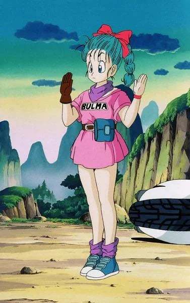 Dragon Ball Bulma Costume + Wig